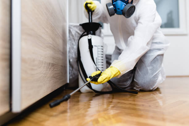 Best Affordable Pest Control Services  in Neodesha, KS