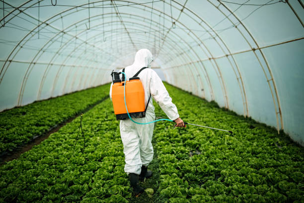 Best Pest Control Near Me  in Neodesha, KS