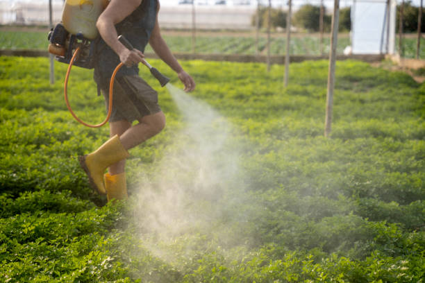 Best Pest Control Treatment  in Neodesha, KS