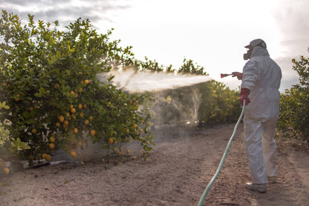 Flea Control Services in Neodesha, KS
