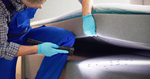 Best Local Pest Control Services  in Neodesha, KS