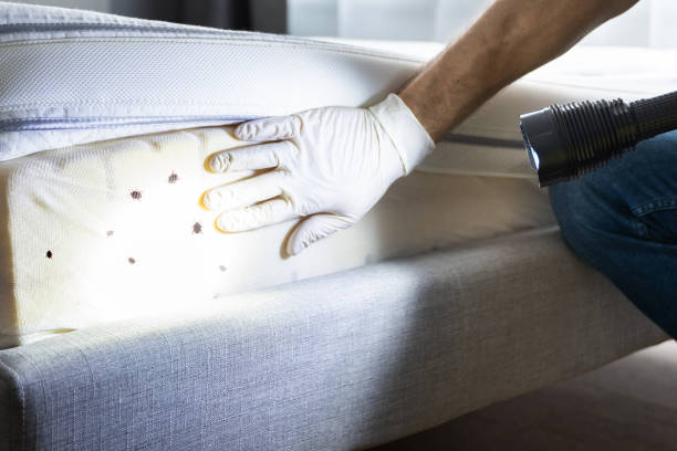 Flea Control Services in Neodesha, KS