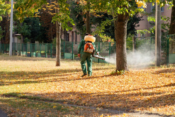 Best Exterminator Services  in Neodesha, KS