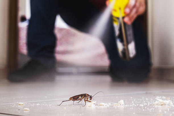 Best Exterminator Services  in Neodesha, KS