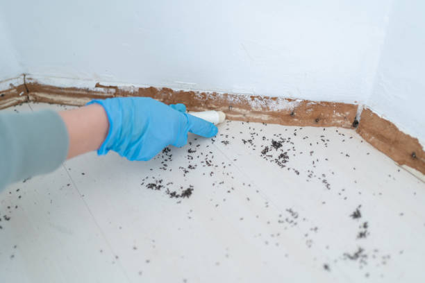 Best Emergency Pest Control  in Neodesha, KS