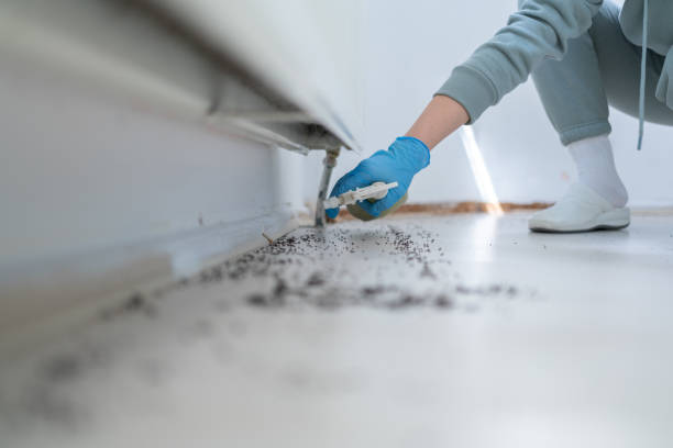 Best Best Pest Control Companies  in Neodesha, KS