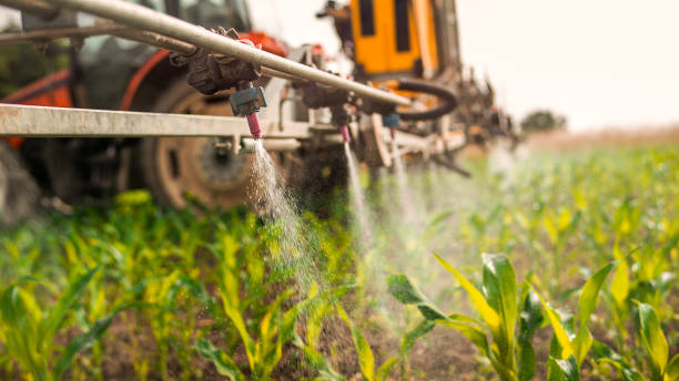 Best Commercial Pest Control Services  in Neodesha, KS